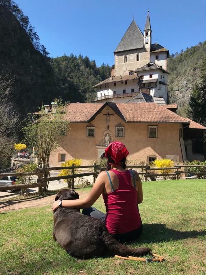 Апартаменты Casa Streberi Castelfondo Экстерьер фото